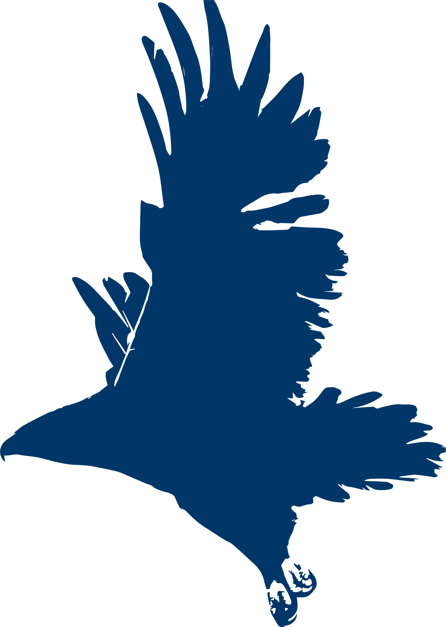 Falcon Icon 1500x2109 Falcon Icon