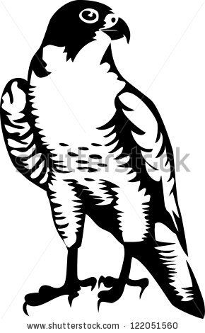 Falcon Icon 290x470 Falcon Icon