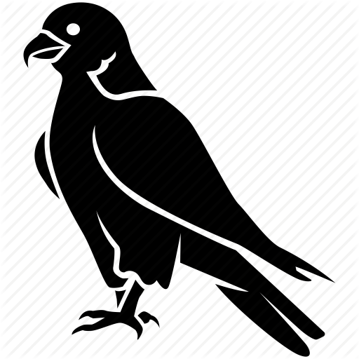 Bird, Duck, Eagle, Falcon, Hawk, Peregrine, Prey Icon 512x512 Bird, Duck, Eagle, Falcon, Hawk, Peregrine, Prey Icon