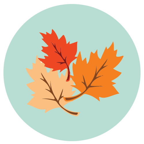 500x500 Fall Icon