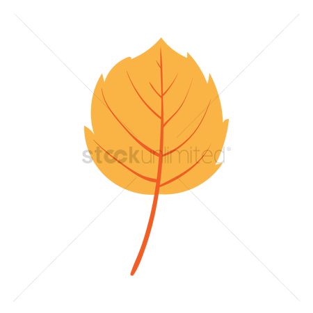450x450 Free Fall Leaves Stock Vectors Stockunlimited