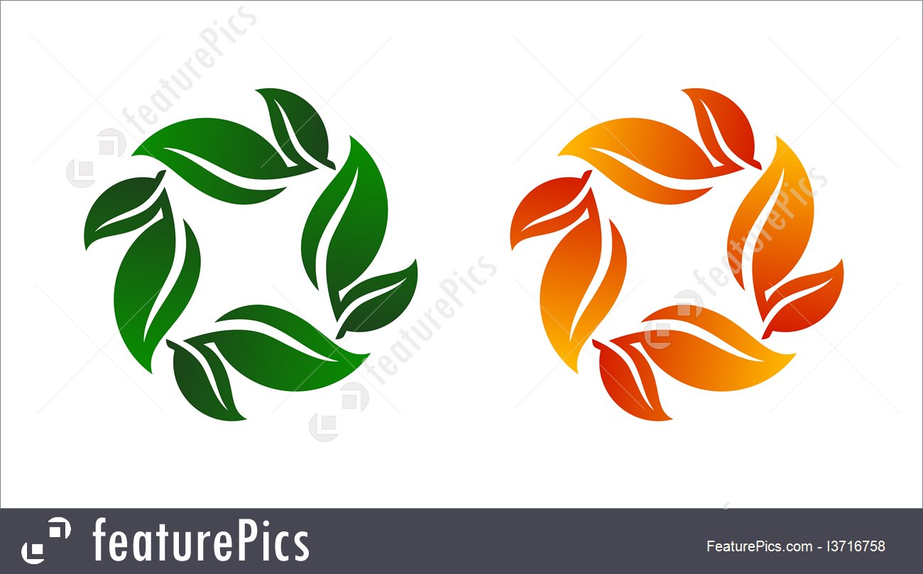 1300x809 Leaf Bunch Icon On Both Spring And Fall Illustration