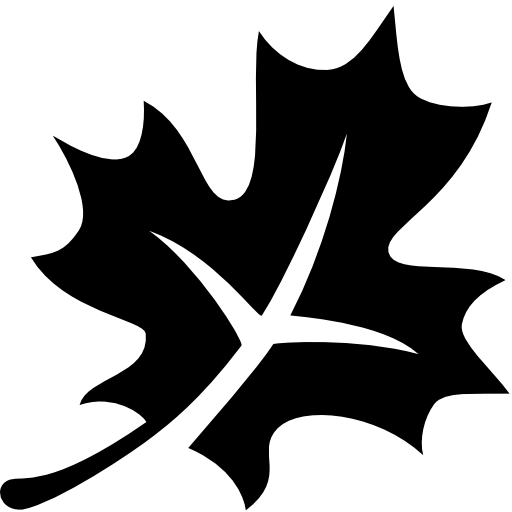 512x512 Leaves Autumn Falling Icon