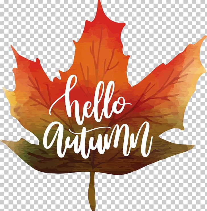 728x741 Maple Leaf Autumn Watercolor Painting Icon Png, Clipart, Aut, Cdr