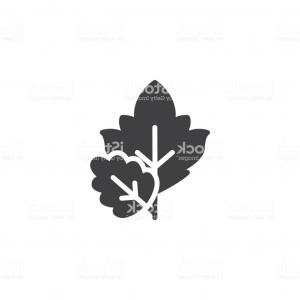 300x300 Photostock Vector Autumn Foliage Of Fall Falling Leaves Vector