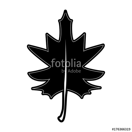 500x500 Maple Fall Leaf Icon Image Vector Illustration Design Black
