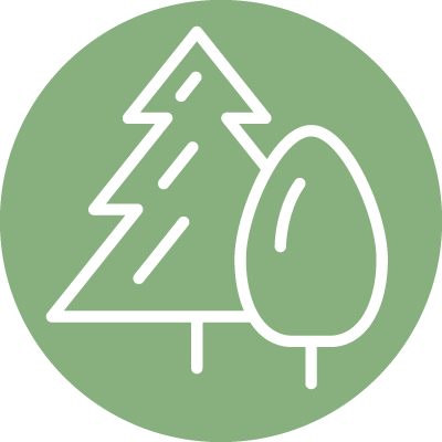 400x400 Forested Campsite Icon
