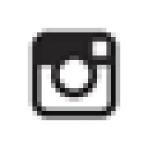 300x300 Instagram Icon