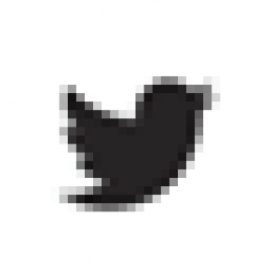 300x300 Twitter Icon