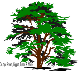 300x271 Tree, Family Reunion Png, Clip Art For Web