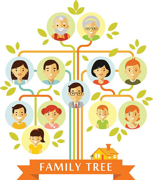 521x612 Family Tree Generation People Icons Infographic Avatars Project