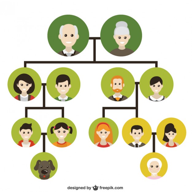 626x626 Family Tree Icons Vector Free Download