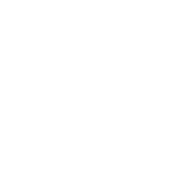 256x256 White Fan Icon