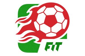 Fantasy Football 298x198 Fantasy Football