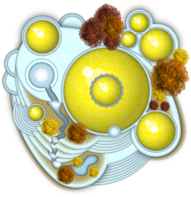 611x633 Hd Elven Palace