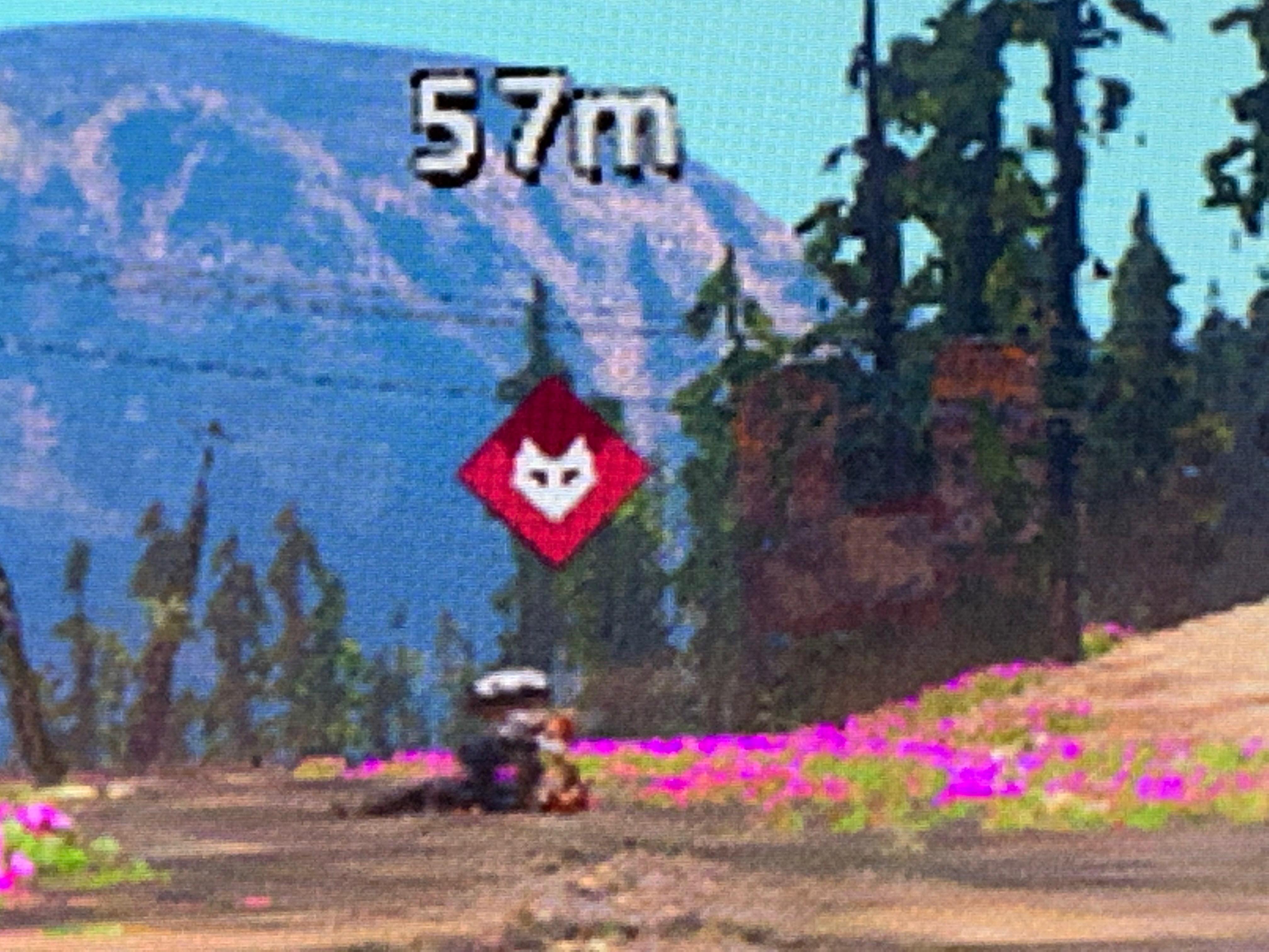 4032x3024 In New Dawn, What Is The Deal With The Highwayman With The Wolf