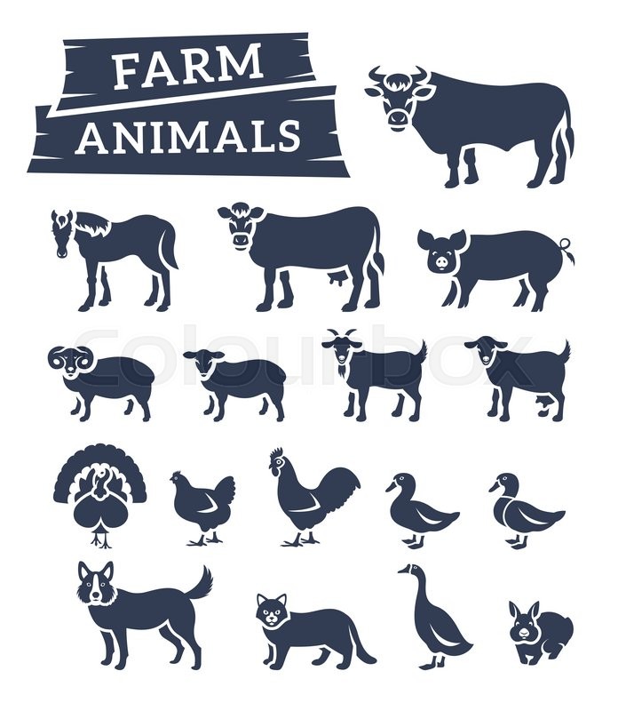 Domestic Farm Animals Flat Silhouettes Stock Vector Colourbox 696x800 Domestic Farm Animals Flat Silhouettes Stock Vector Colourbox
