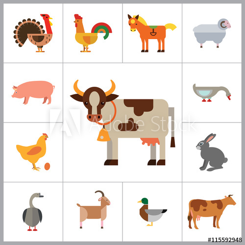 Farm Animal Icon Set 500x500 Farm Animal Icon Set