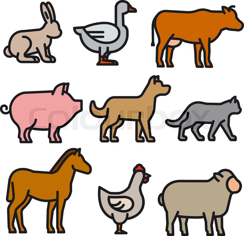Illustration Of The Farm Animals Icon Stock Vector Colourbox 800x775 Illustration Of The Farm Animals Icon Stock Vector Colourbox