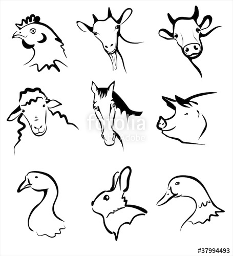 Farm Animals Collection Of Icons Stock Image And Royalty Free 455x500 Farm Animals Collection Of Icons Stock Image And Royalty Free