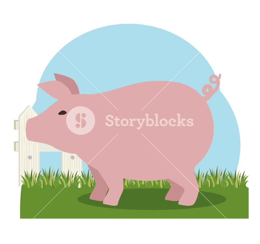 Pork Farm Animal Icon Vector Illustration Design Royalty Free 1000x939 Pork Farm Animal Icon Vector Illustration Design Royalty Free
