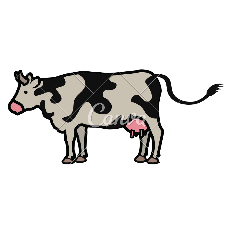 Cow Farm Animal 800x800 Cow Farm Animal