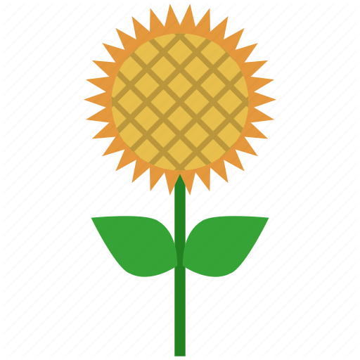 512x512 Farm, Farmland, Field, Flower, Garden, Nature, Sunflower Icon