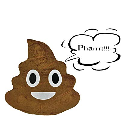 425x425 Farting Sound Poop Emoji Pillow