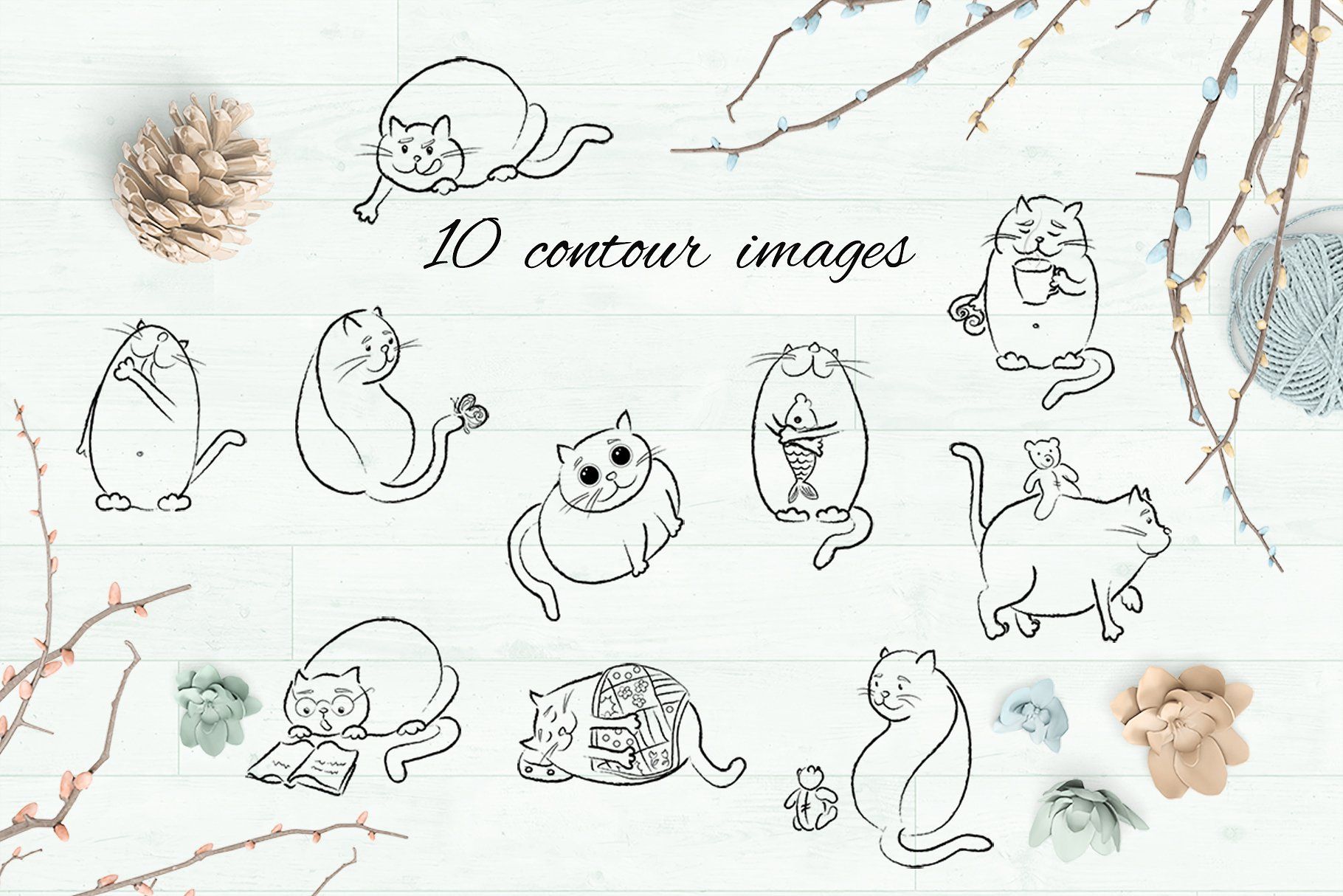 1820x1214 My Fat Cat!