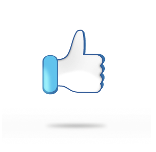 308x300 Fb Like Icon