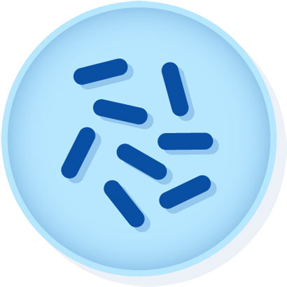 Microbiologics V Listeria Monocytogenes 410x410 Microbiologics V Listeria Monocytogenes
