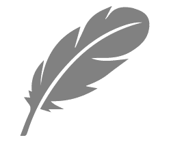 247x208 Feather Icon Grey Mobility Ltd Affordable Independence