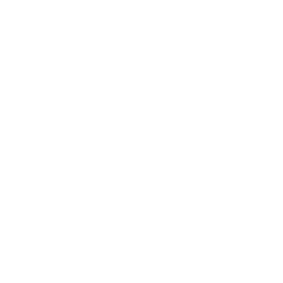 White Female Icon 256x256 White Female Icon