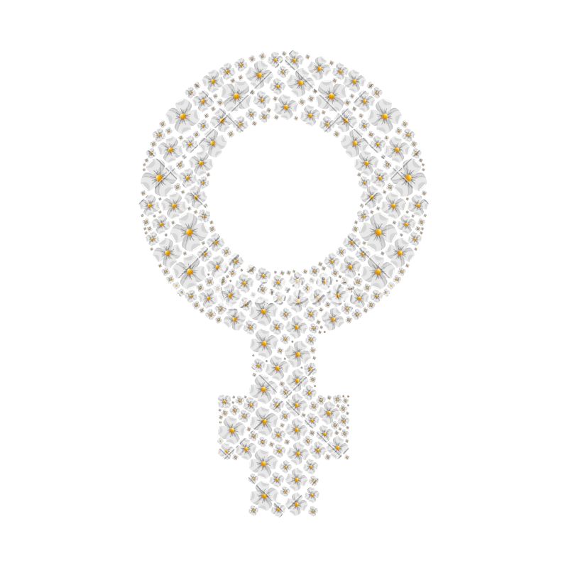 800x800 Feminine Symbol Isolated Icon