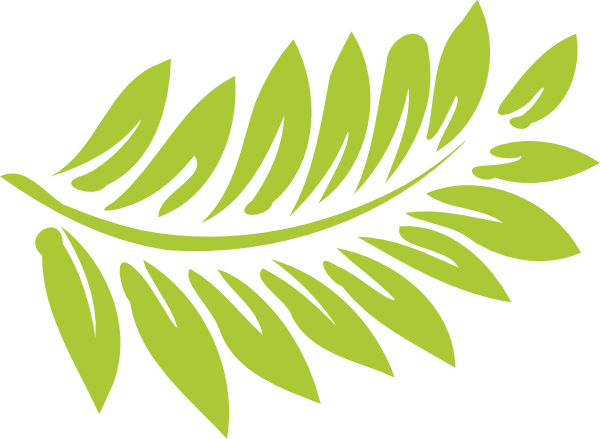 600x439 Fern Png, Clip Art For Web