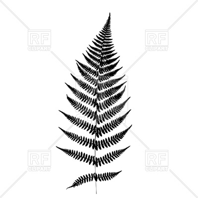 400x400 Fern Leaf Black Icon Vector Image Of Icons And Emblems