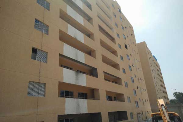 600x400 Prestige Ferns Galaxy