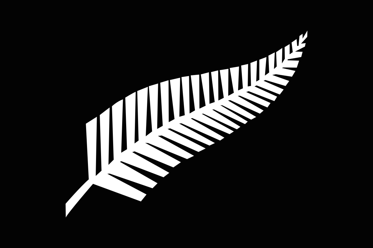 1200x800 Silver Fern Flag
