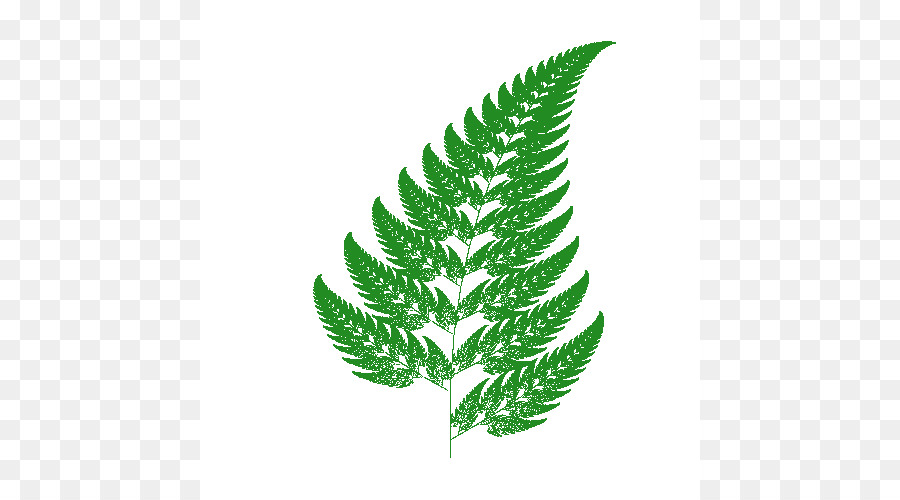 900x500 Barnsley Fern Fractal Iterated Function System Chaos Theory