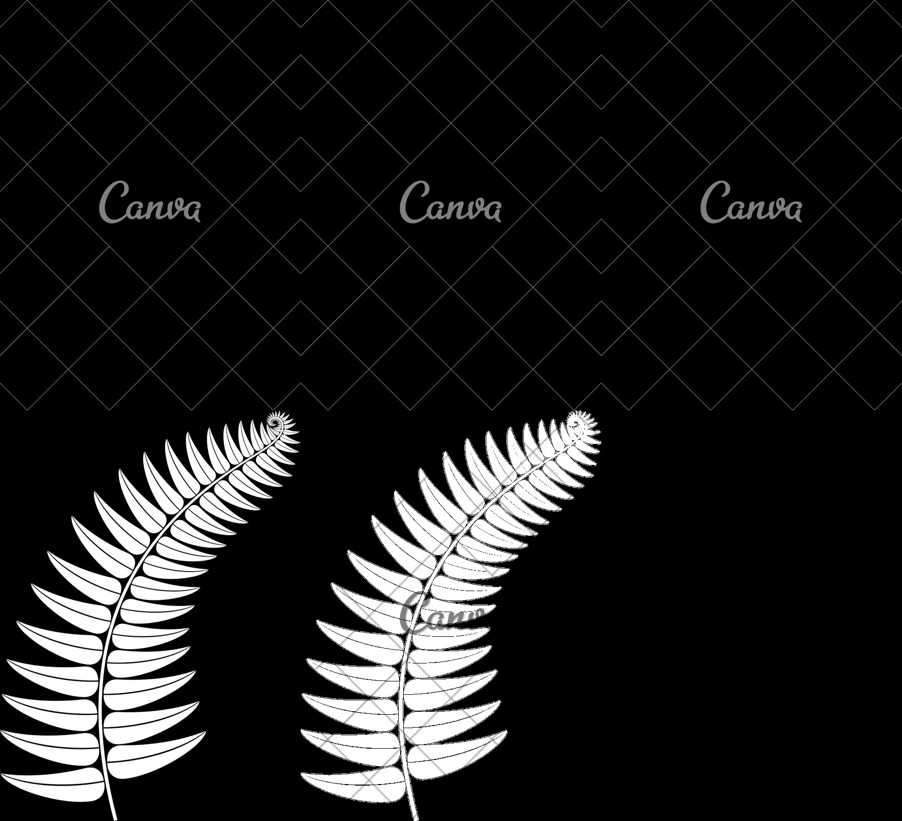 1758x1600 Fern Icon