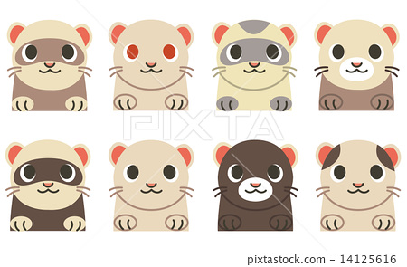 450x295 Ferret Icon