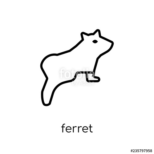 500x500 Ferret Icon Trendy Modern Flat Linear Vector Ferret Icon On White