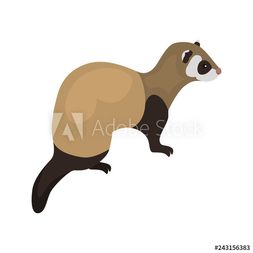 500x500 Animal Flat Color Ferret Icon