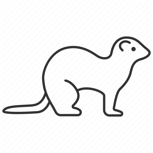 512x512 Animal, Ferret, Mustela, Pet, Polecat, Stoat, Weasel Icon