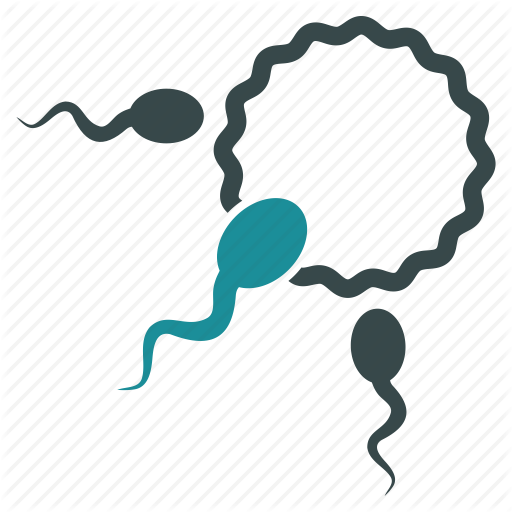 512x512 Fecundity, Fertility Rate, Fertilization, Insemination