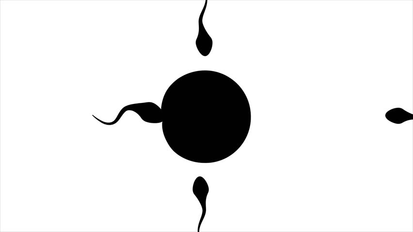 852x480 Fertility Icon Animation Sperm And Stock Footage Video