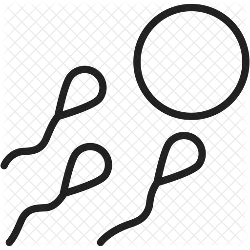512x512 Fertility Icon Of Line Style
