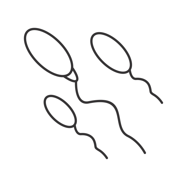 640x640 Sperm Icon For Your Project, Sperm, Fertility, Maternity Png