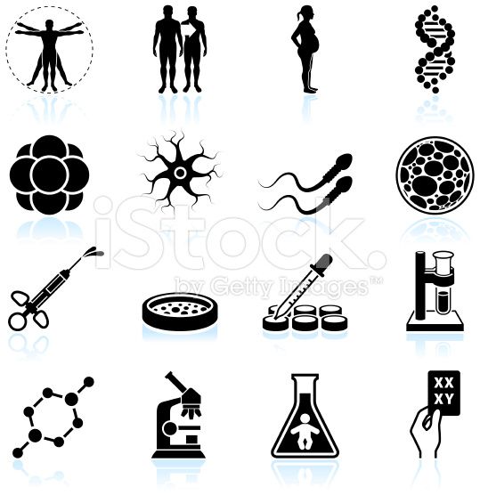539x556 Human Pregnancy, Fertility And Cloning Black White Icon Set