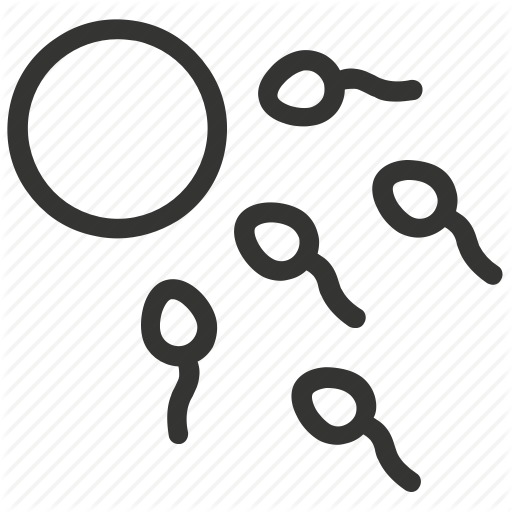 512x512 Egg, Fertility, Fertilization, Reproduction, Sperm, Sperm Egg Icon